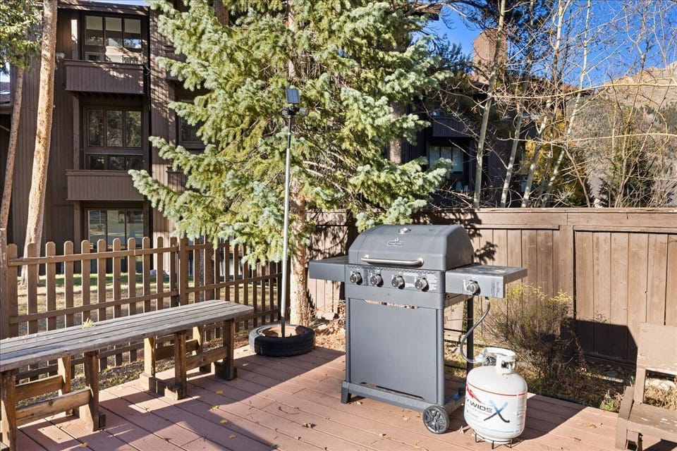 The gas grill and picnic area are available in the summer months.