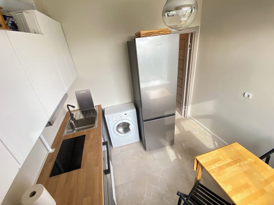 The kitchen is equipped with an oven and induction stove, a large refrigerator.