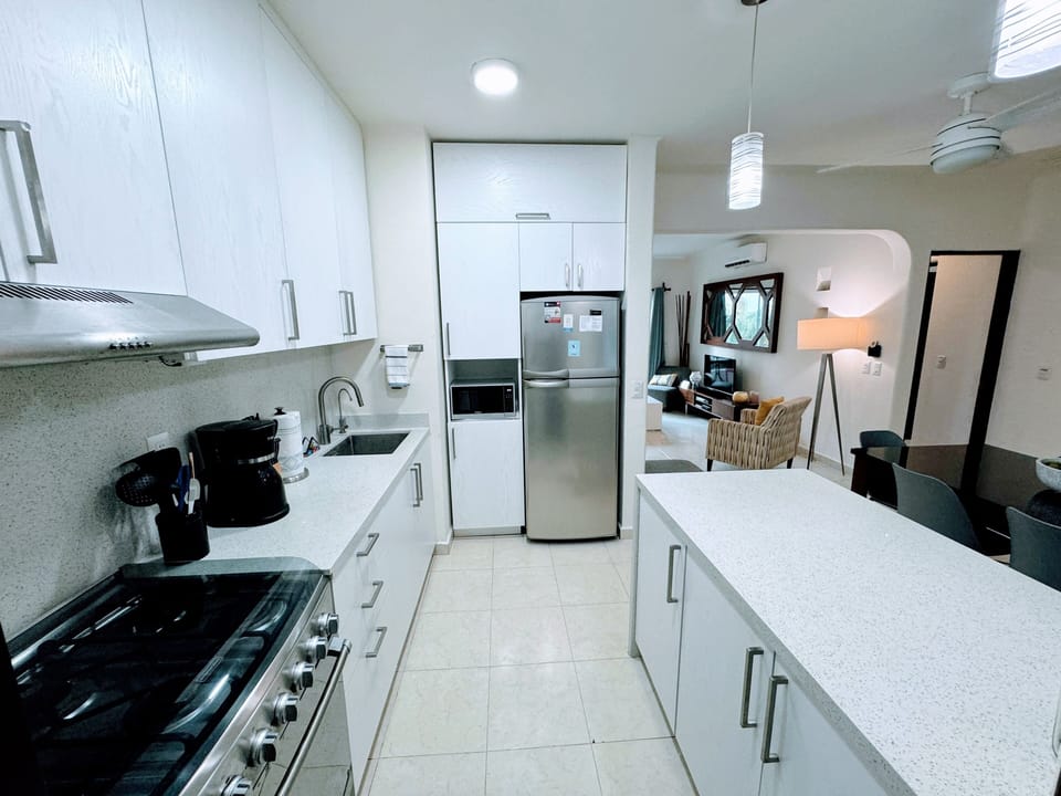 Clean modern chef's kitchen