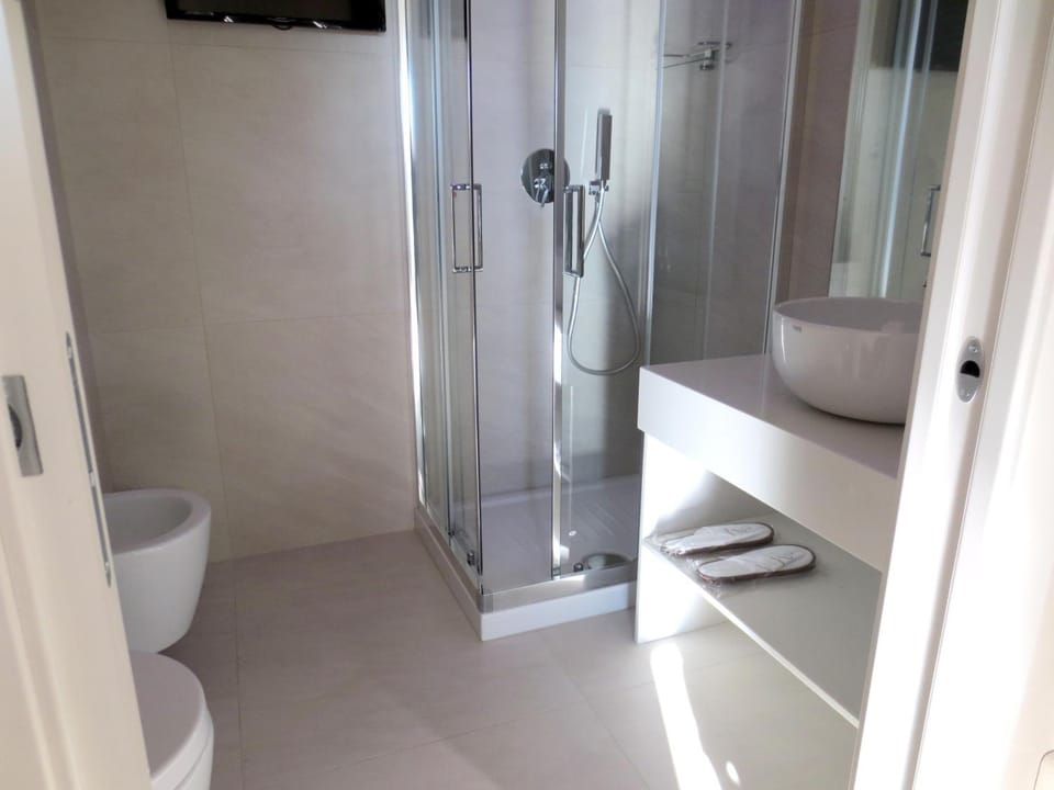 Shower, hair dryer, bidet, towels