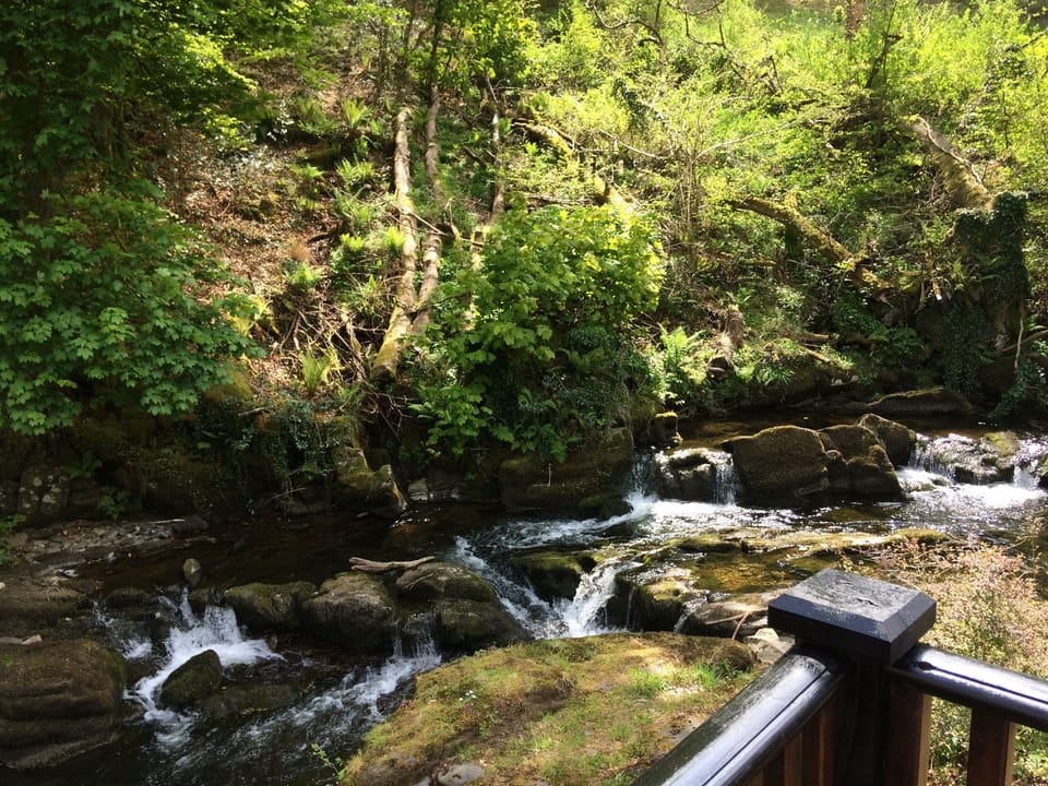 View from the private decking area