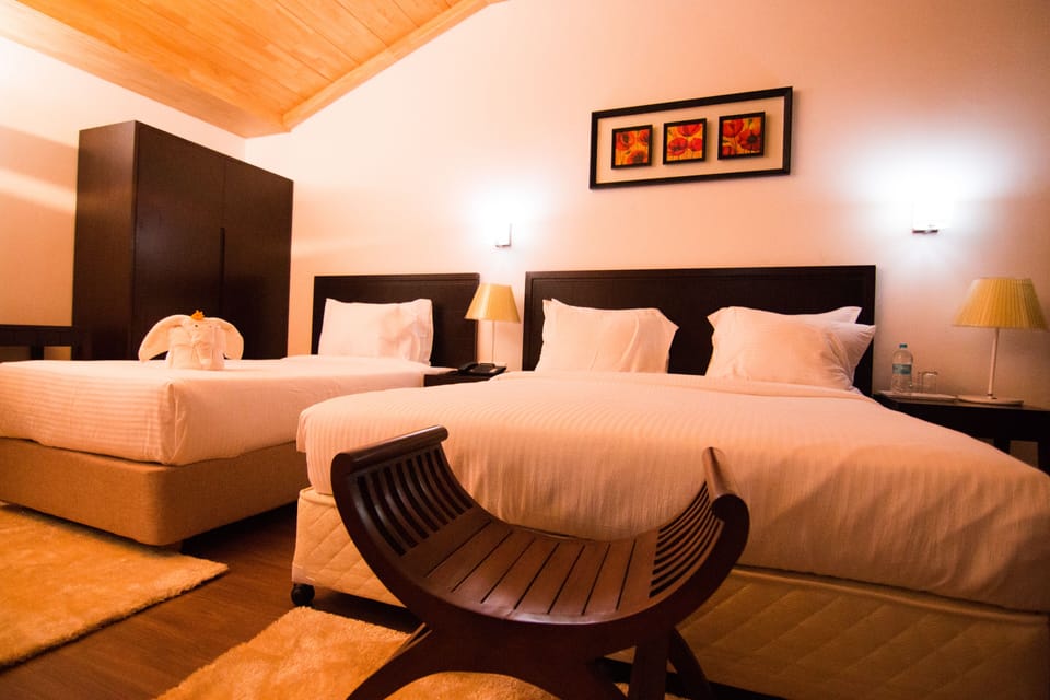 Executive Room | In-room safe, desk, soundproofing, iron/ironing board