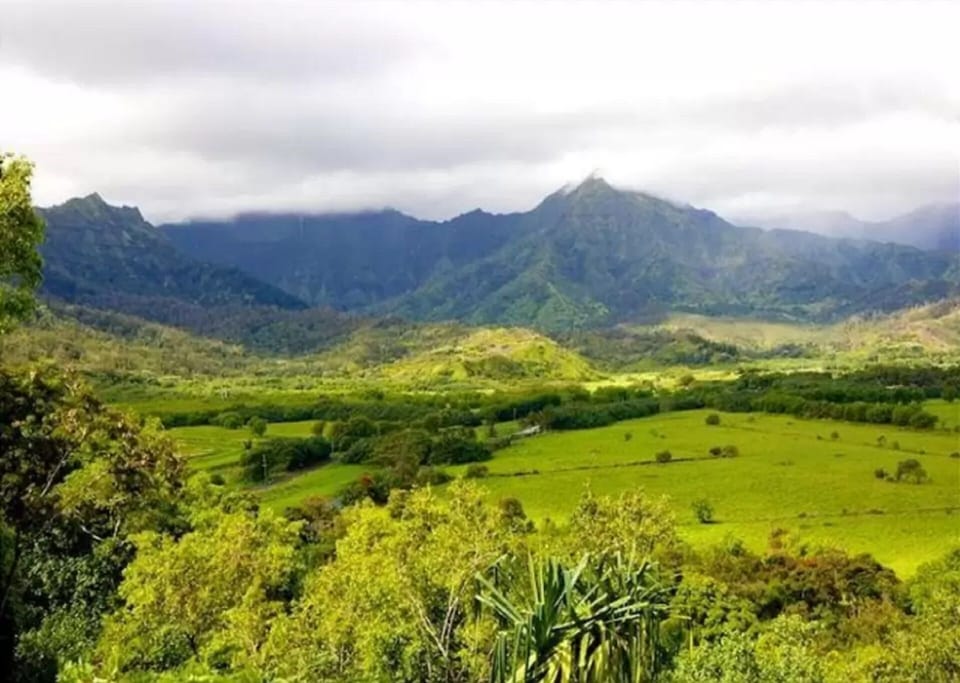 One of the many beautiful, colorful awwww inspiring valleys on Kauai