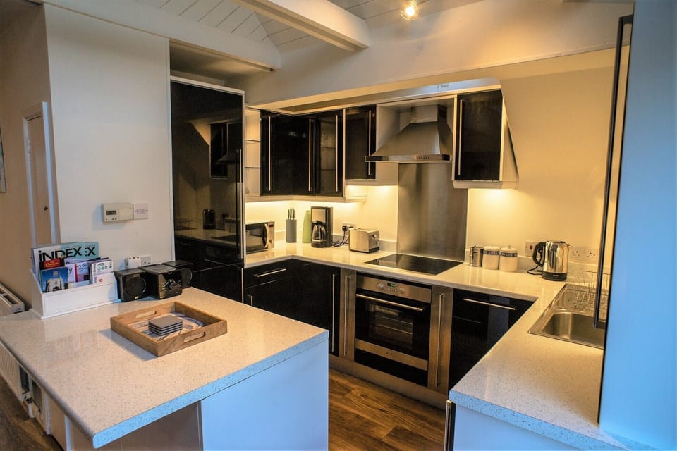 Full-size fridge, oven, dishwasher, toaster