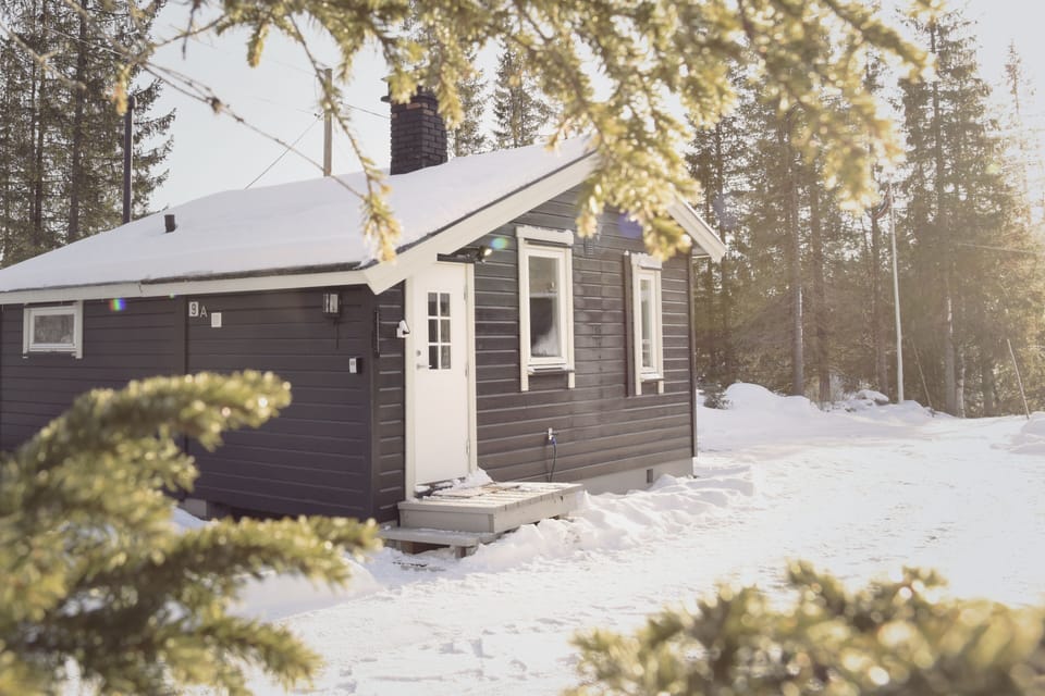 Family Cabin, 1 Bedroom, Mountain View | Property entrance