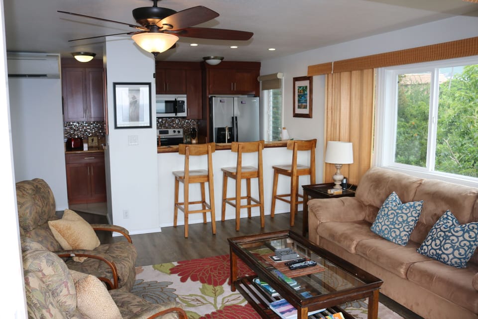 From the lanai across the living area to the kitchen. Note the AC unit!
