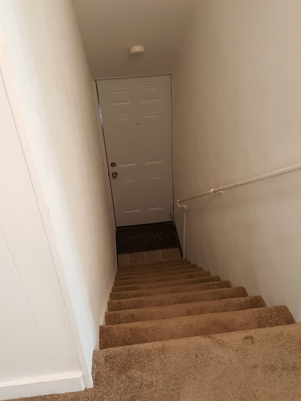 Carpeted interior