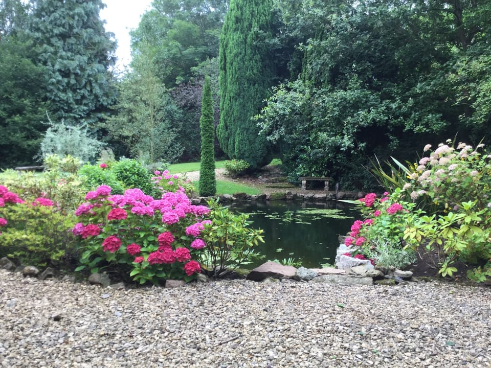Old Rectory garden 