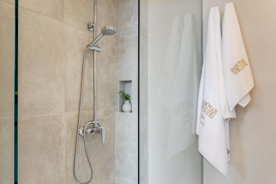 Standard Double Room, 1 Queen Bed, City View | Bathroom | Shower, free toiletries, hair dryer, slippers