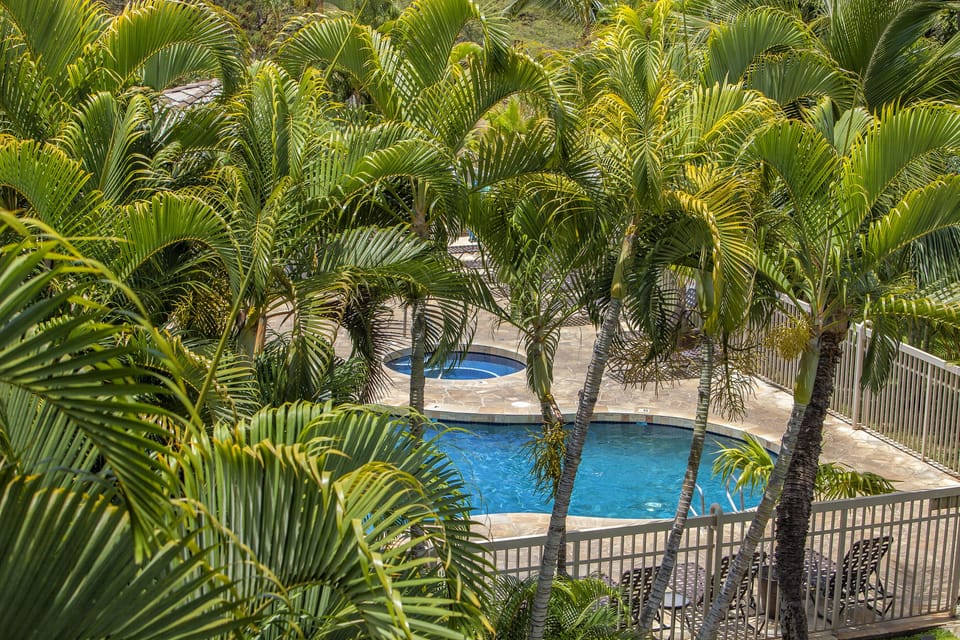 A sparkling pool nestled among lush tropical palms creates your private oasis, where the sunlight filters through swaying fronds and invites you to unwind in pure tranquility.
