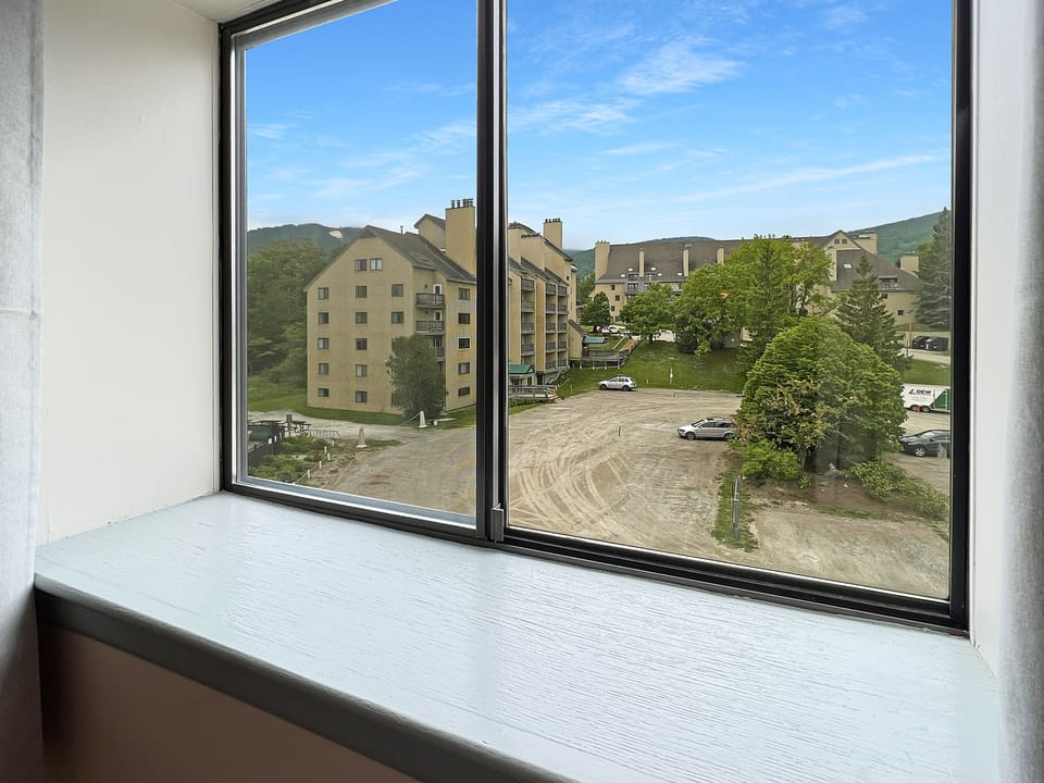 View from Livingroom