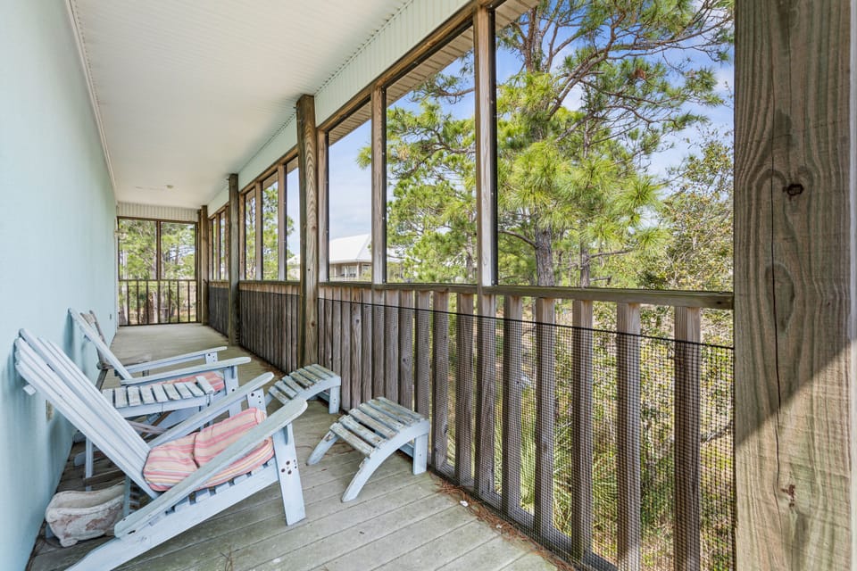 Back Deck 