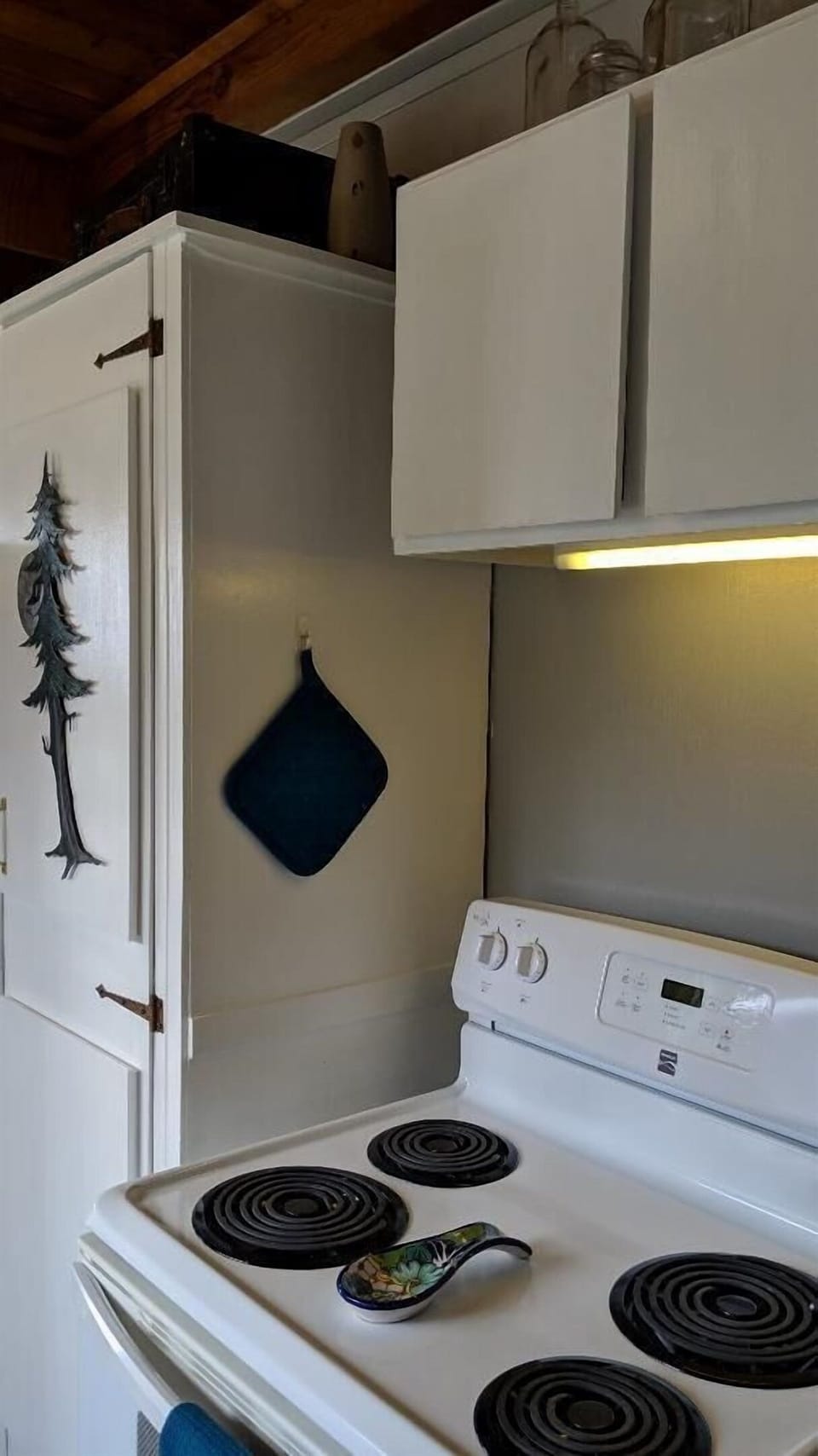 electric range
