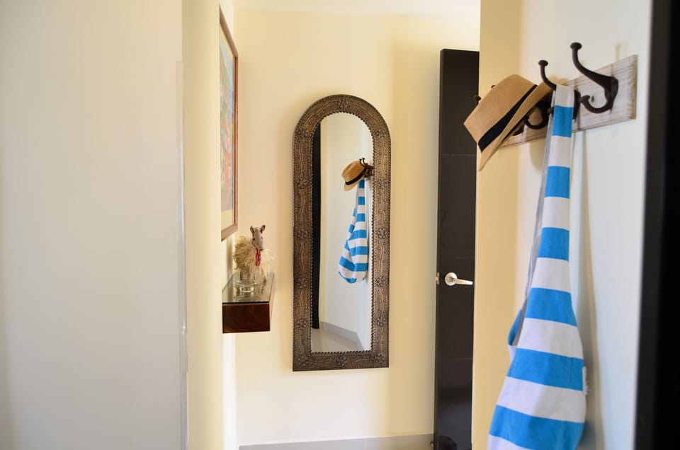 Entryway with full size mirror and hooks for storage of towels and accessories.