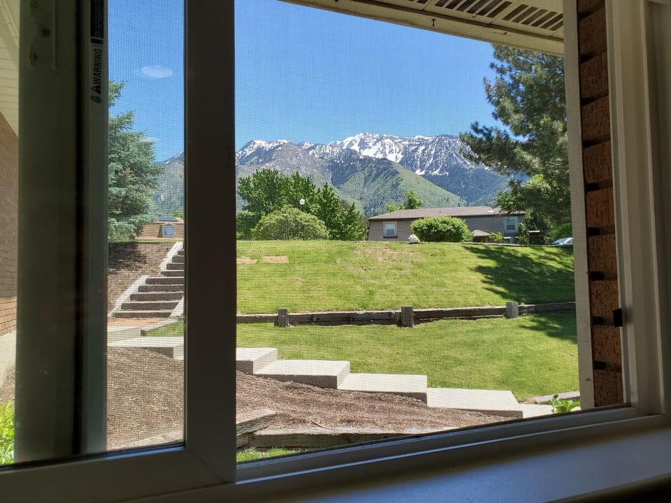 View From Kitchen Window