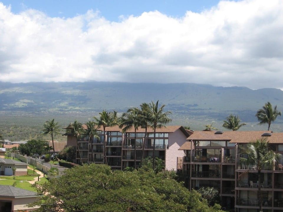 Property buildings nestled amid tropical palms with dramatic mountain views in the surrounding area.