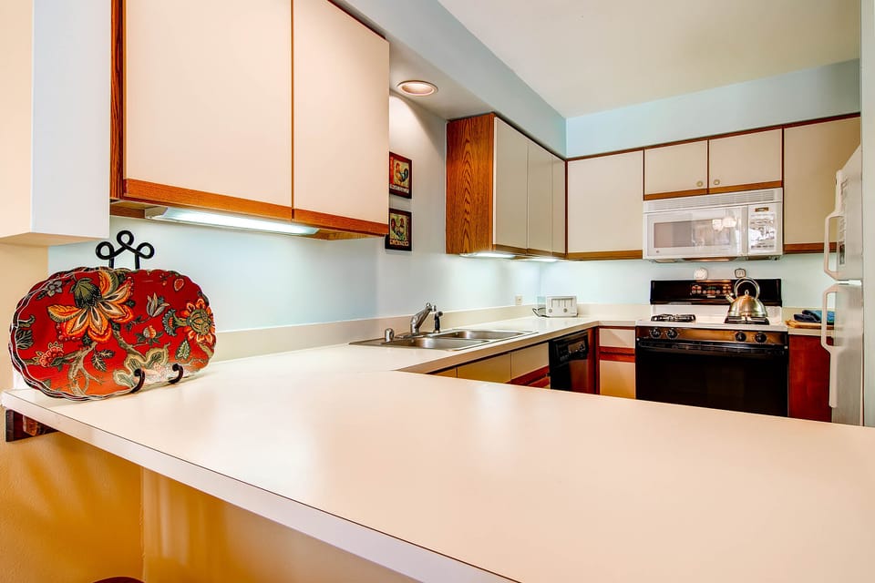 The kitchen and counter
