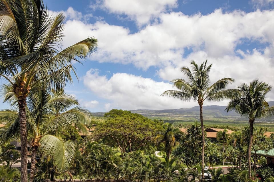 Immerse yourself in the lush beauty of Maui with sweeping treetop and mountain views right outside your window