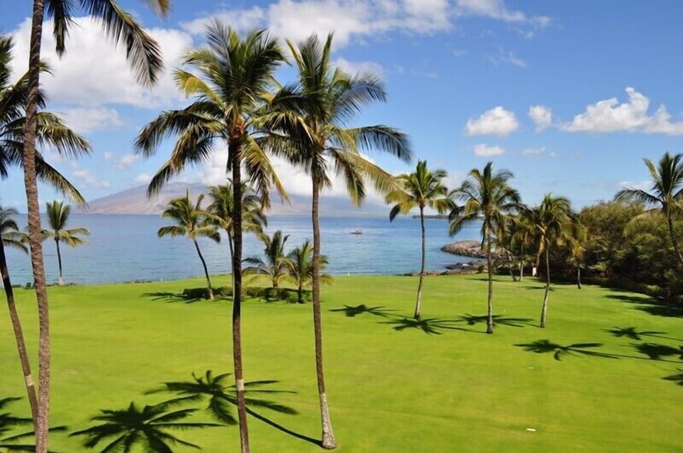 Coastal property featuring manicured tropical grounds with palm trees and direct ocean access. The expansive lawn overlooks pristine turquoise waters with mountain views in the distance.