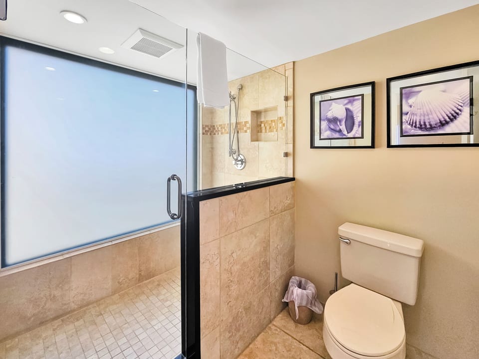 Walk in shower with privacy glass