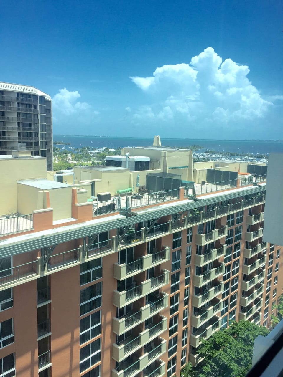 View from the window