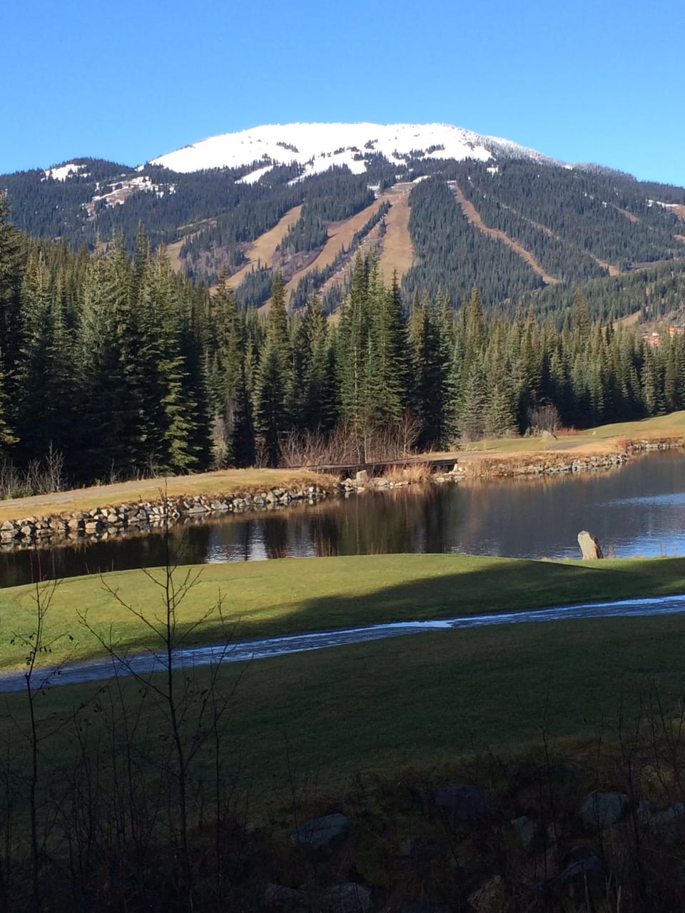 13th tee looking up to the ski hill