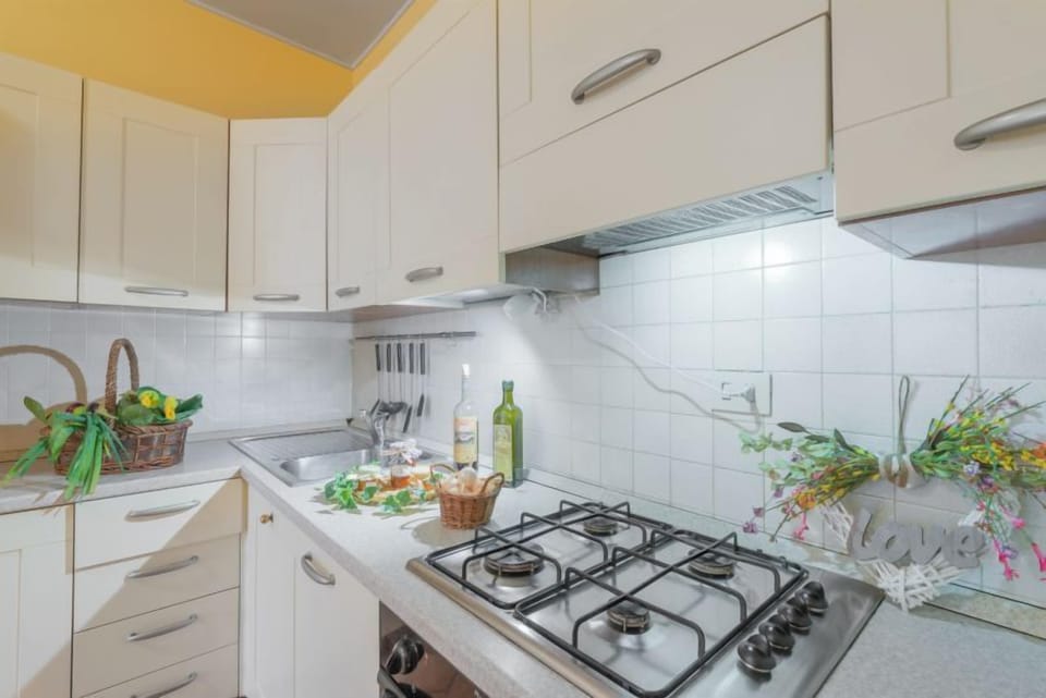 Apartment, 1 Bedroom | Private kitchen | Fridge, oven, stovetop, dishwasher