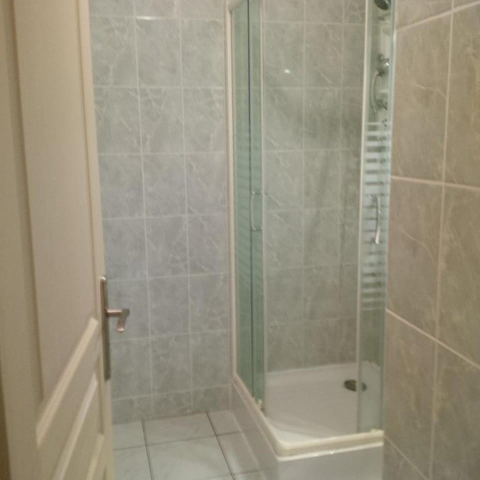 Rainfall showerhead, hair dryer