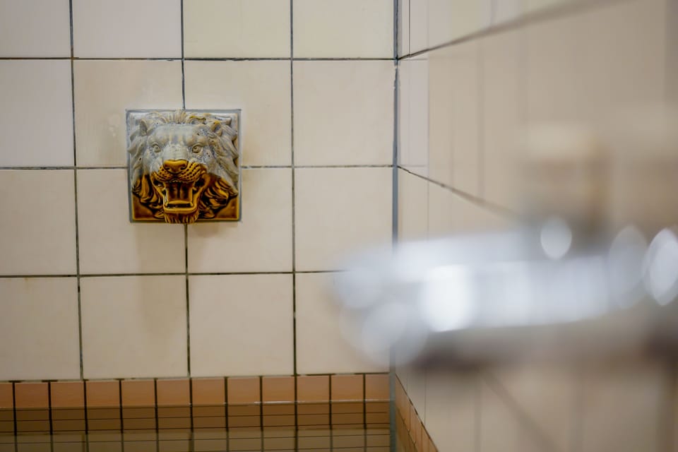 Public bath
