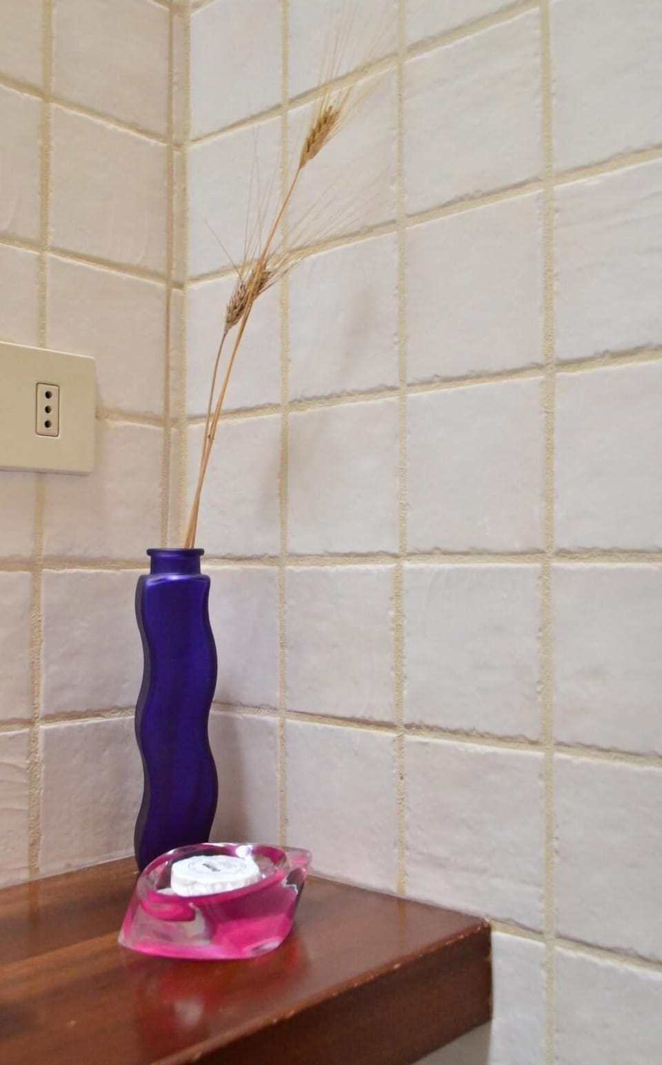 Shower, free toiletries, towels