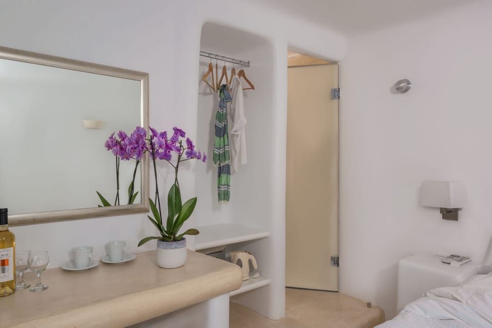 Standard Room ( Caldera View) | Minibar, in-room safe, individually decorated, individually furnished