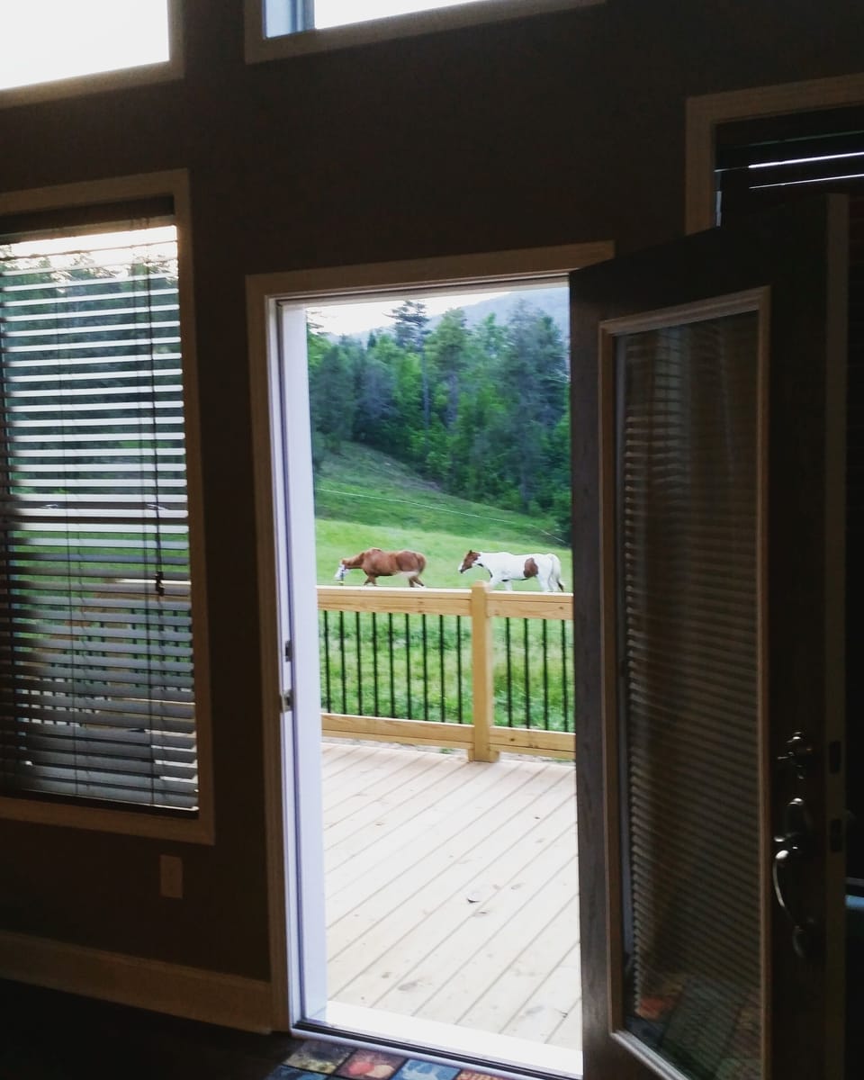 Enjoy watching horses while sitting inside the house. 