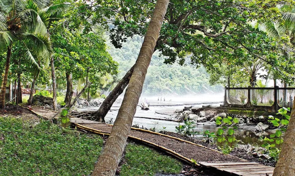 path to the beach