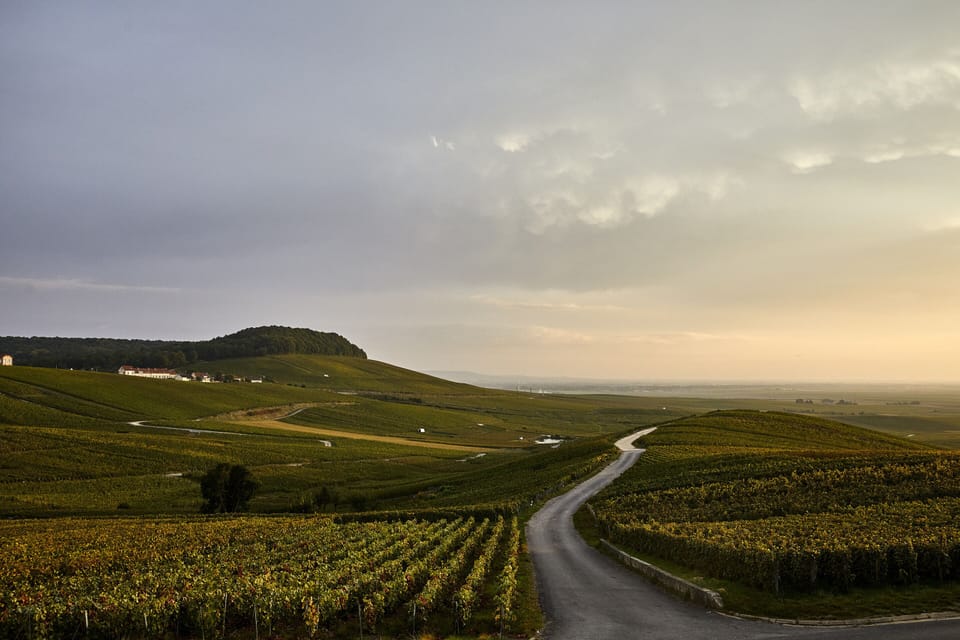 Cottage, Ensuite (Vue sur vignobles) | View from property