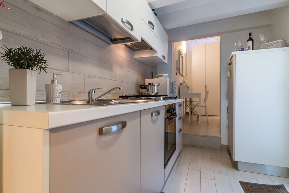 Apartment, 1 Bedroom | Private kitchen | Fridge, microwave, oven, stovetop