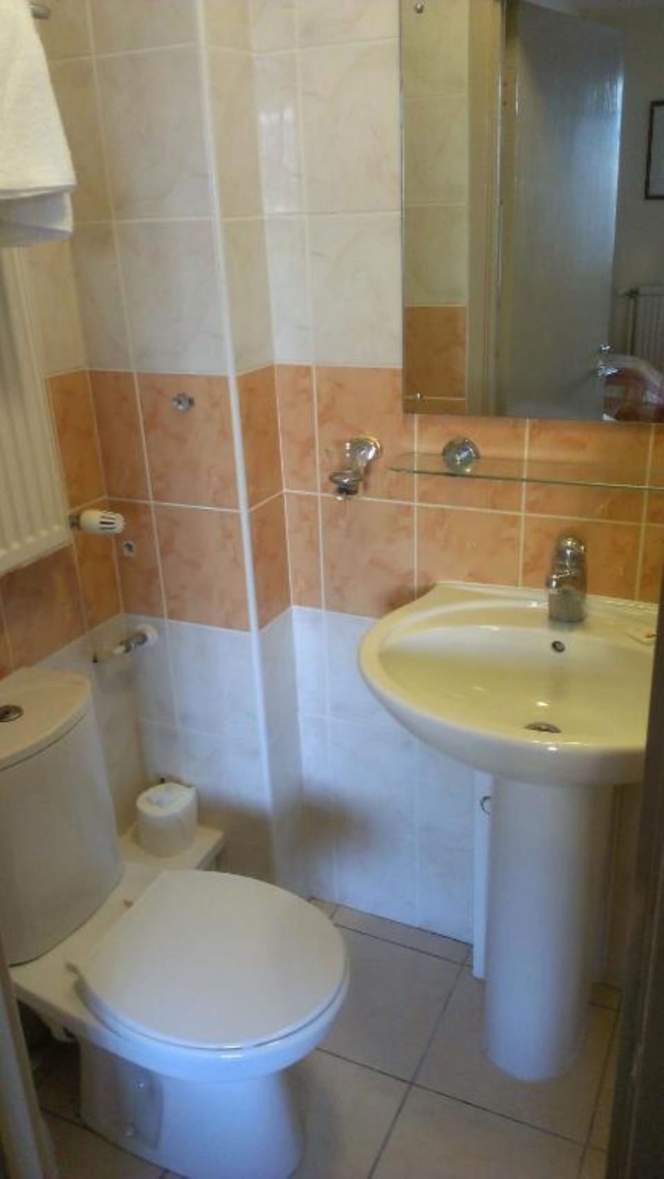 Combined shower/tub, free toiletries, hair dryer, towels