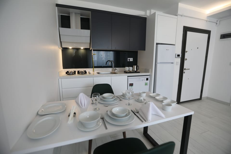 Luxury Suite | Private kitchen | Fridge, dishwasher, electric kettle, cookware/dishes/utensils
