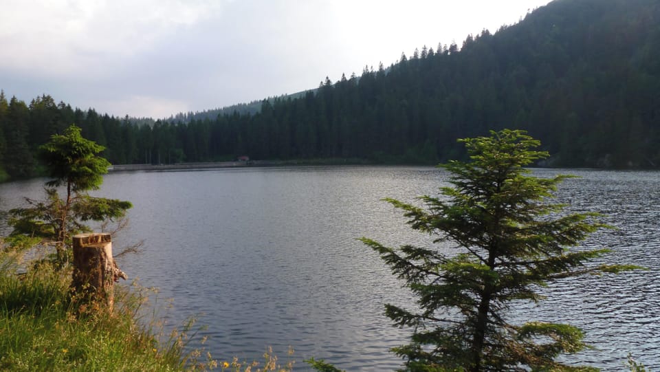 Lake view