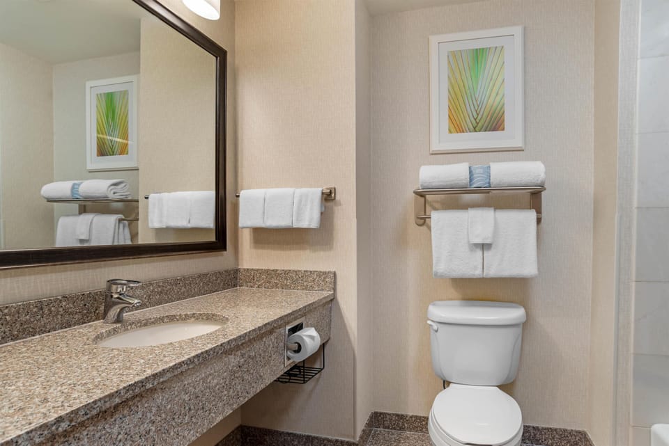 Combined shower/tub, free toiletries, hair dryer, towels