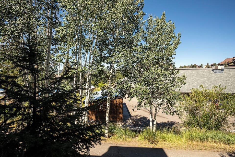 Peaceful residential neighborhood with mature trees and quiet streets surrounding the property.