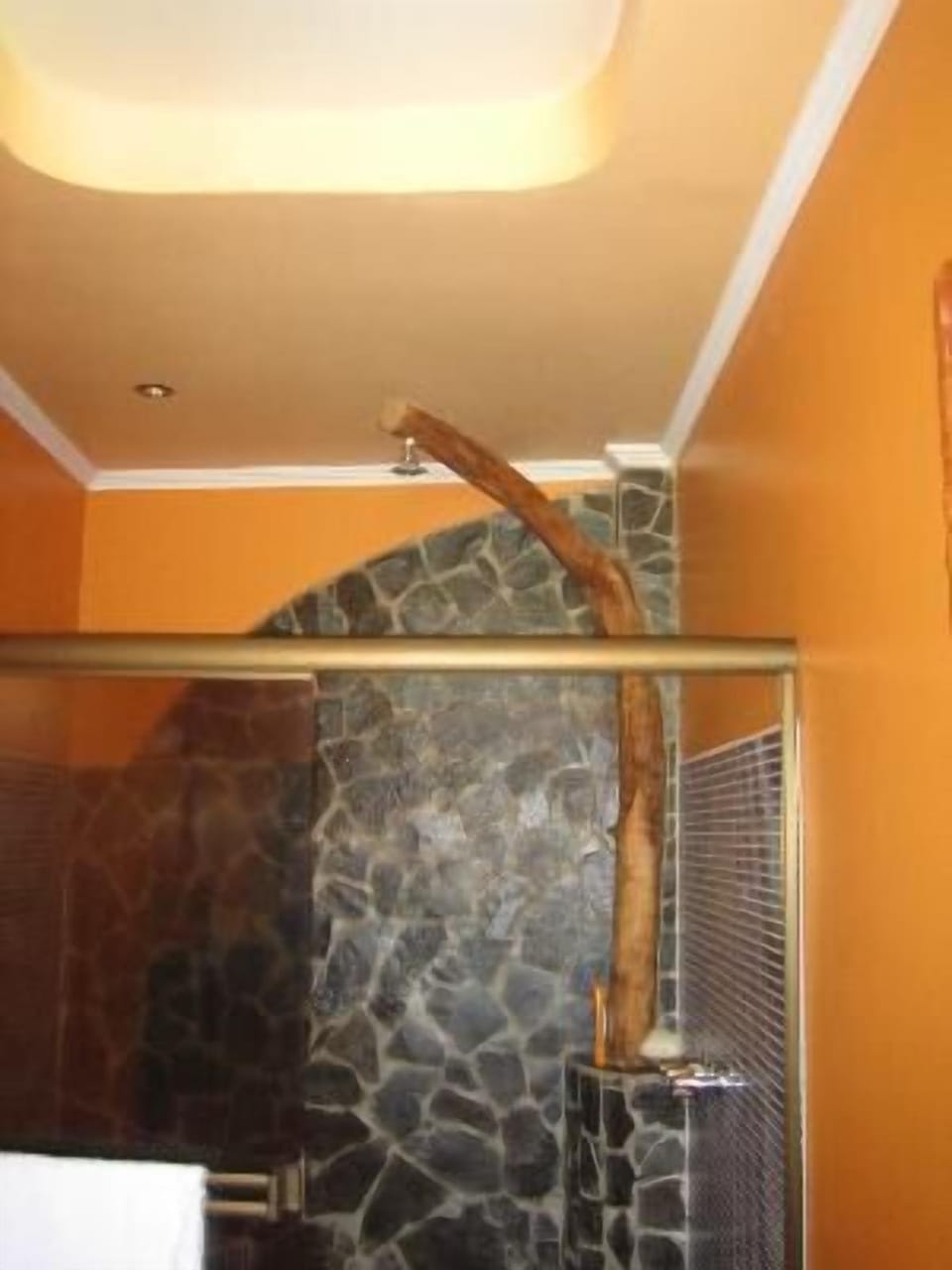 Tree Trunk Showers - bathroom 3 and 4