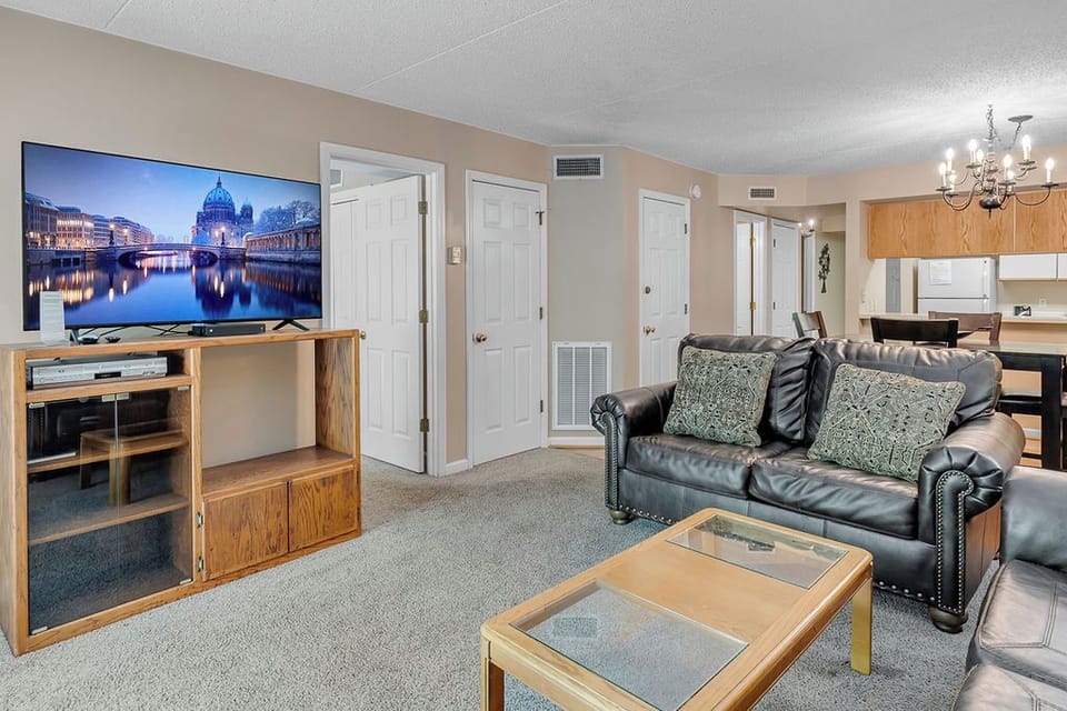 Living area - All of our units have cable , DVD player and flat screen TV.