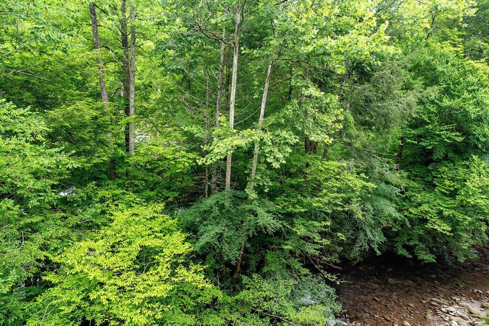 Relax to the sound of the river
