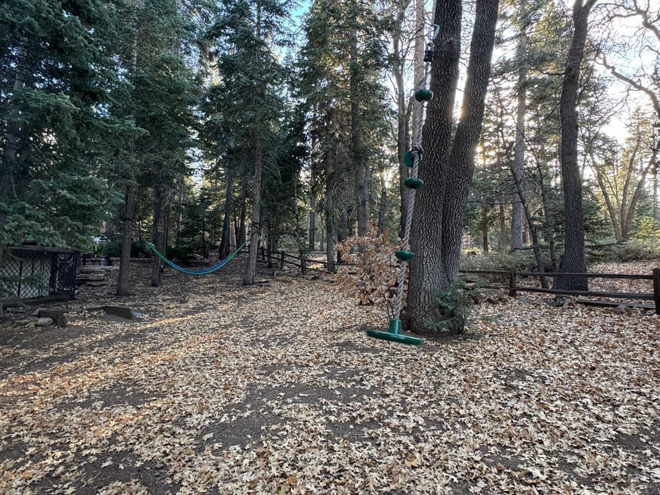 Hammock and Tree Swing