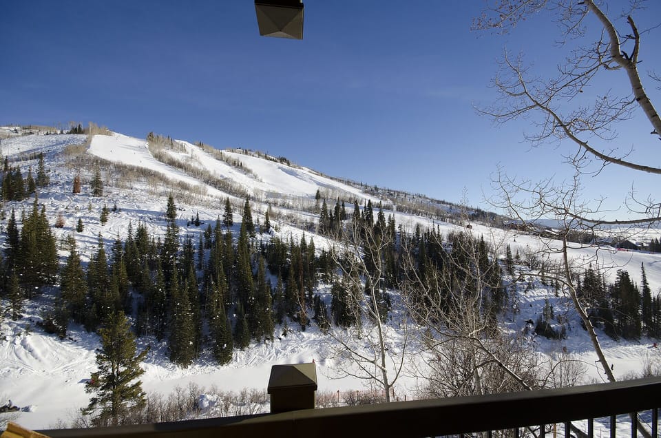 Snow-covered mountains and evergreen forest create a stunning winter panorama from the property balcony.