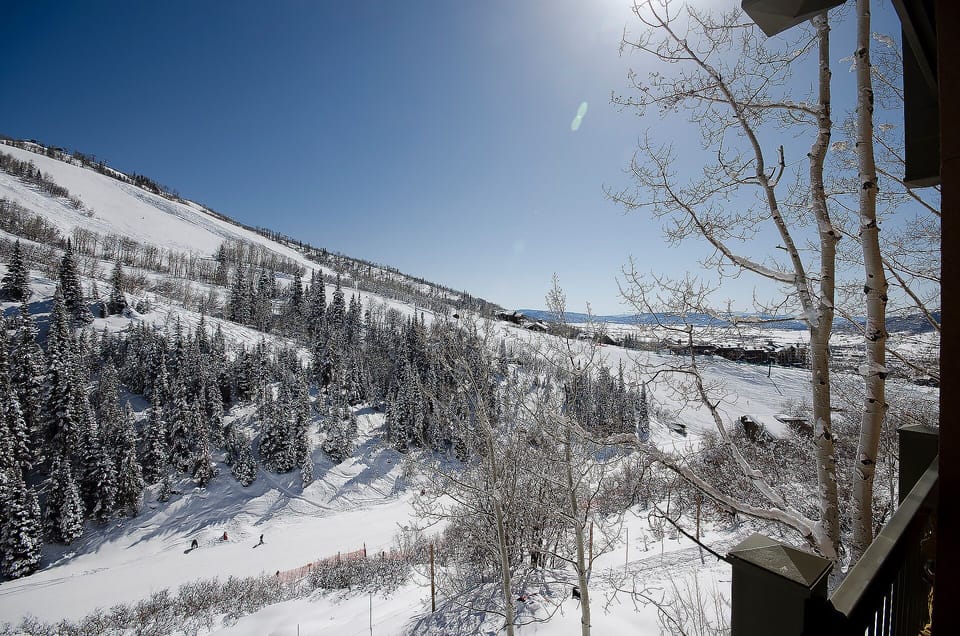 Pristine winter mountain landscape with snow-covered slopes and evergreen forests stretching across the valley under brilliant blue skies.