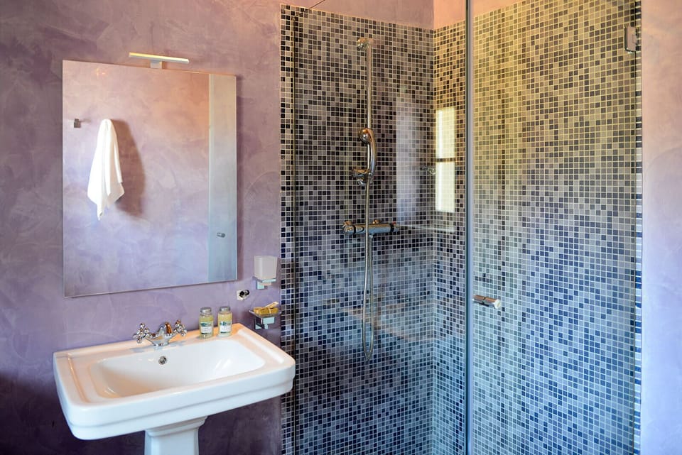 Deluxe Room, Private Bathroom, Courtyard Area | Bathroom | Shower, free toiletries, hair dryer, slippers