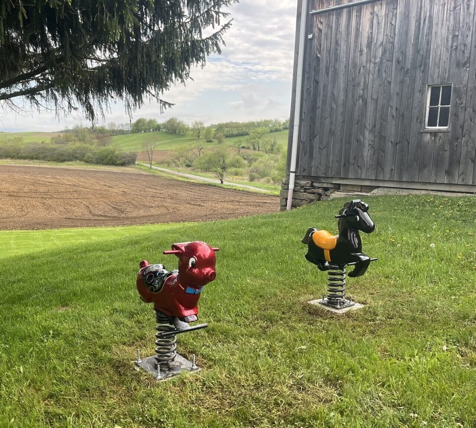 Plenty of fun on the farm!