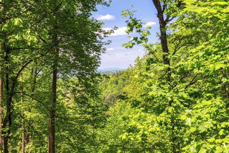 Incredible View of The Mountain Tops and Woods From The Back Spacious Deck