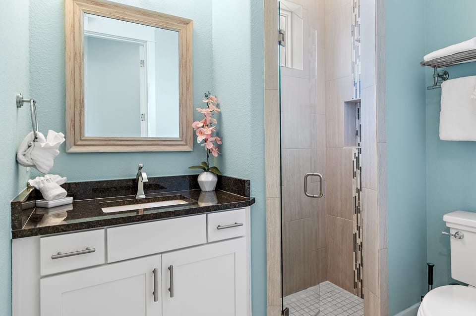 Guest bathroom